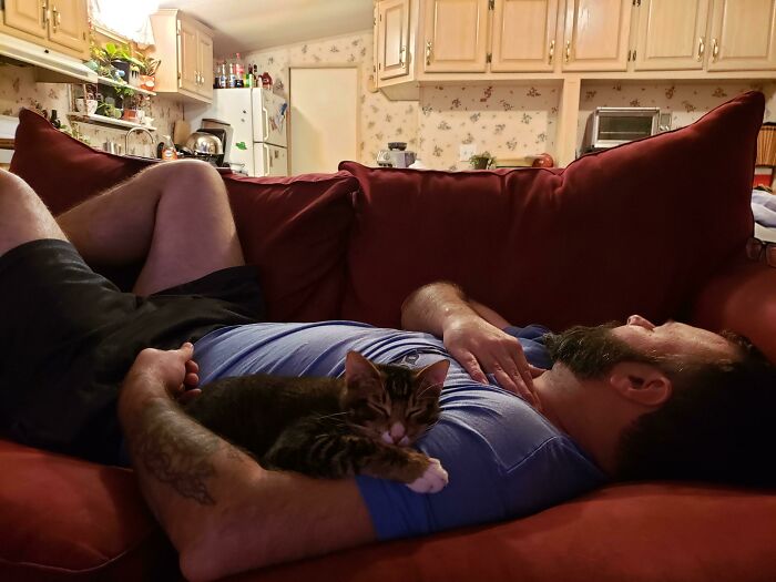 140 Dads Who Said “No Pets” And Ended Up Becoming Total Softies
