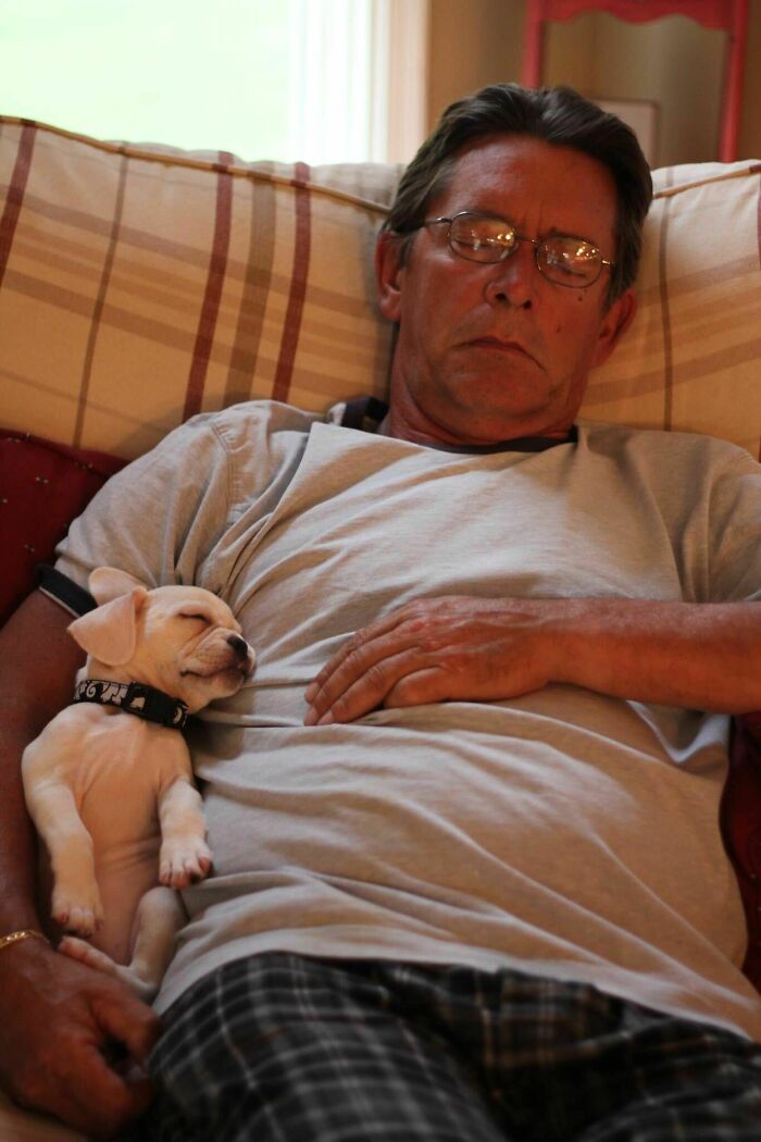 140 Dads Who Said “No Pets” And Ended Up Becoming Total Softies
