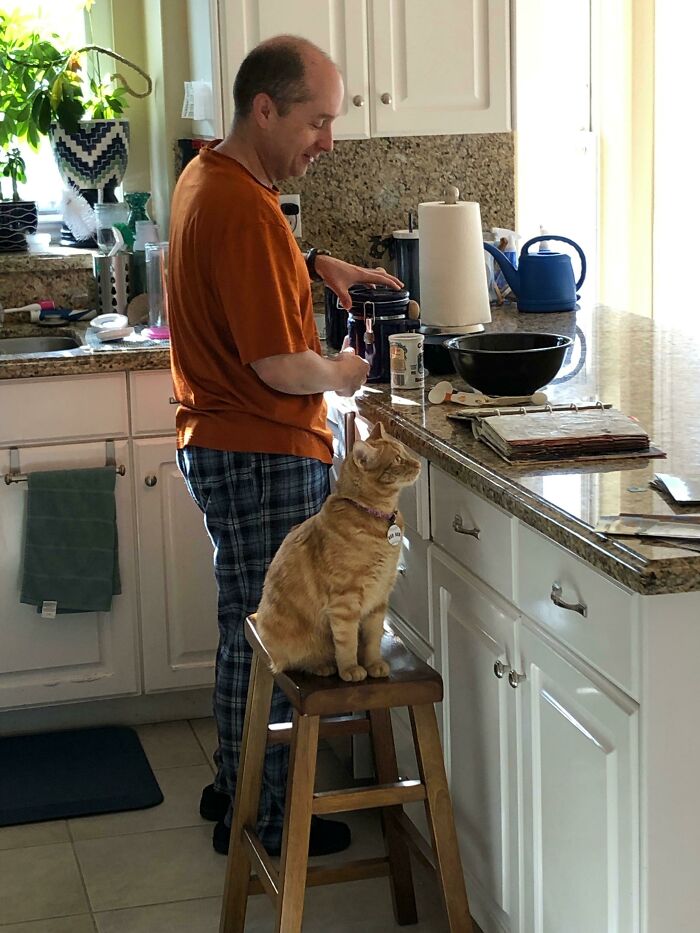 140 Dads Who Said “No Pets” And Ended Up Becoming Total Softies