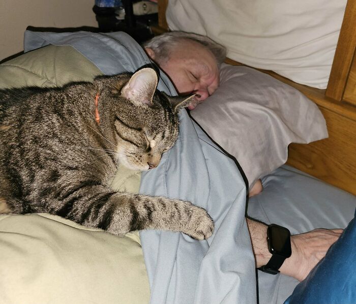 140 Dads Who Said “No Pets” And Ended Up Becoming Total Softies
