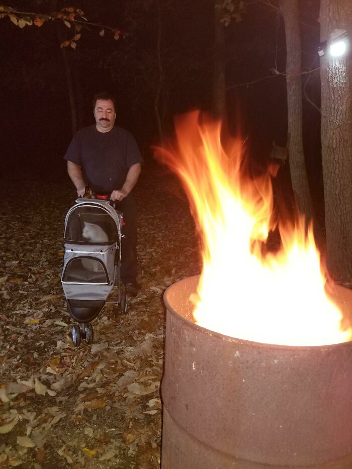 140 Dads Who Said “No Pets” And Ended Up Becoming Total Softies
