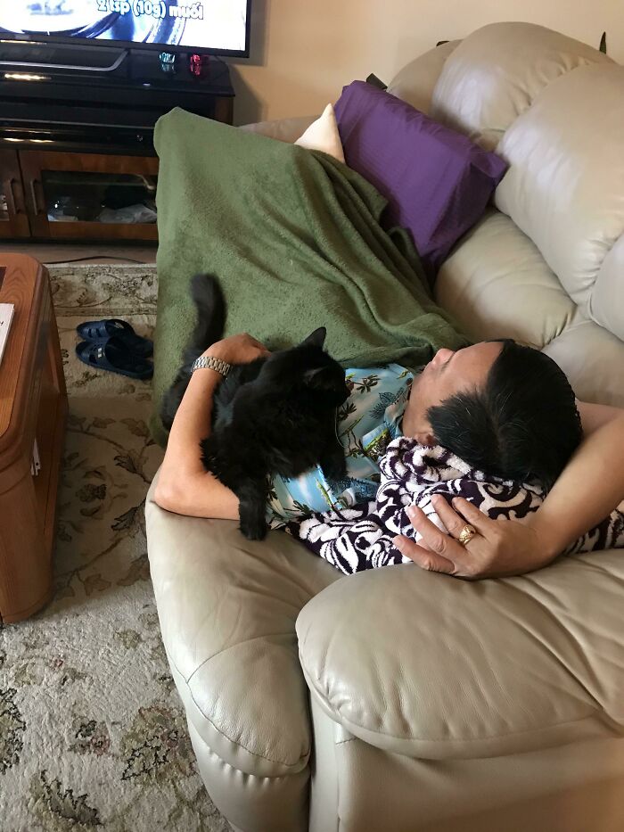 140 Dads Who Said “No Pets” And Ended Up Becoming Total Softies