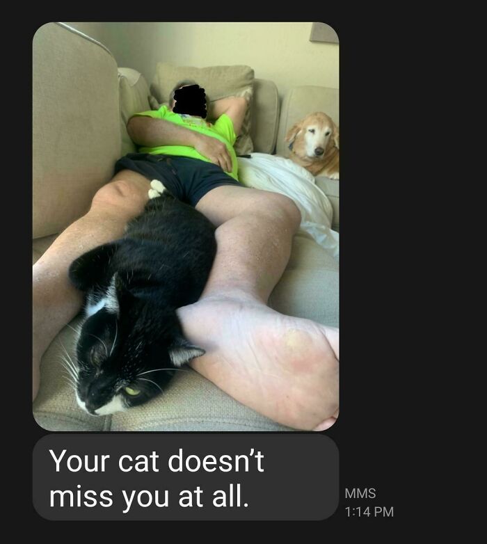 140 Dads Who Said “No Pets” And Ended Up Becoming Total Softies