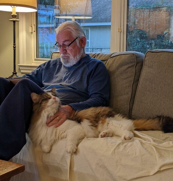 140 Dads Who Said “No Pets” And Ended Up Becoming Total Softies