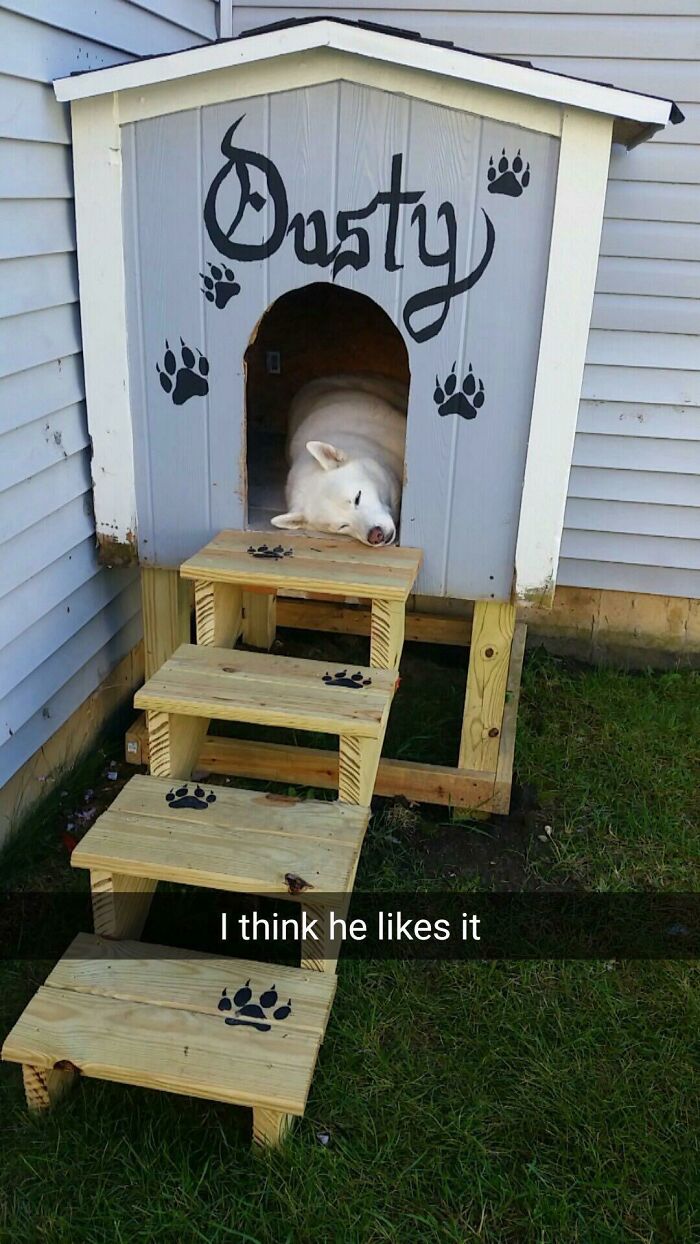 140 Dads Who Said “No Pets” And Ended Up Becoming Total Softies