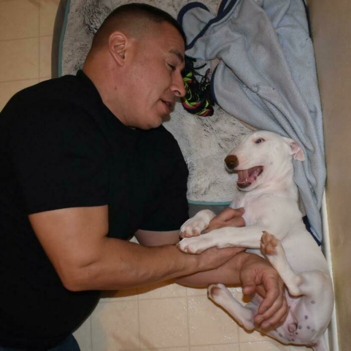 140 Dads Who Said “No Pets” And Ended Up Becoming Total Softies