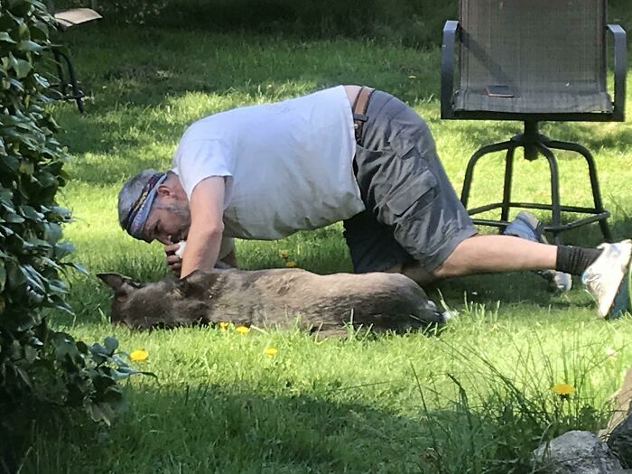 140 Dads Who Said “No Pets” And Ended Up Becoming Total Softies