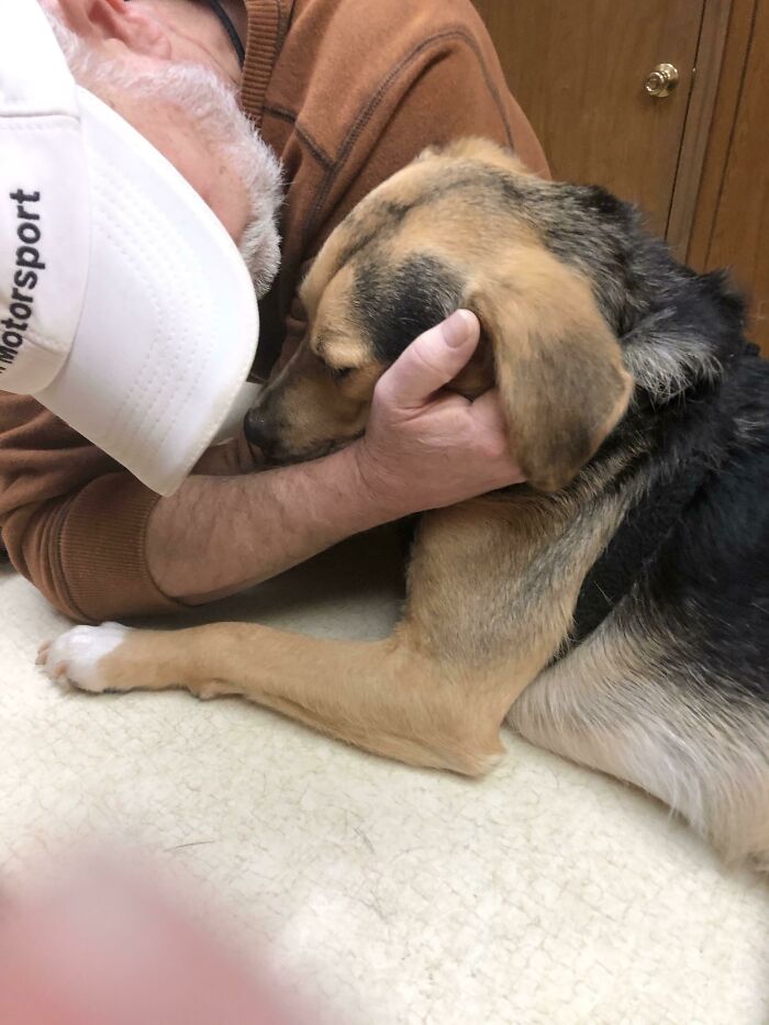 140 Dads Who Said “No Pets” And Ended Up Becoming Total Softies