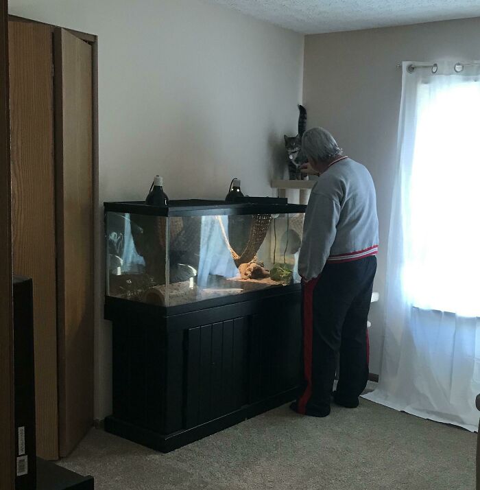 140 Dads Who Said “No Pets” And Ended Up Becoming Total Softies