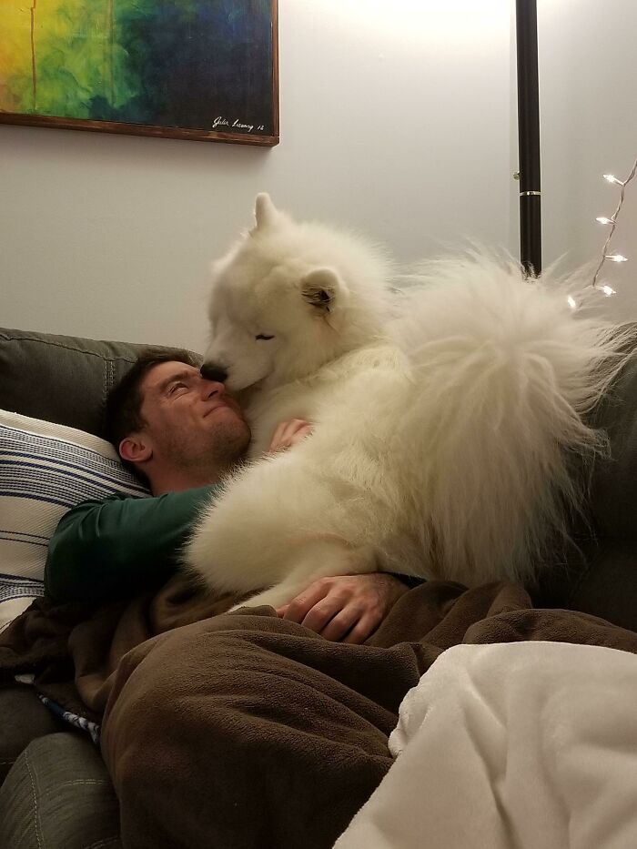 140 Dads Who Said “No Pets” And Ended Up Becoming Total Softies