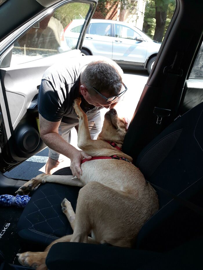 140 Dads Who Said “No Pets” And Ended Up Becoming Total Softies