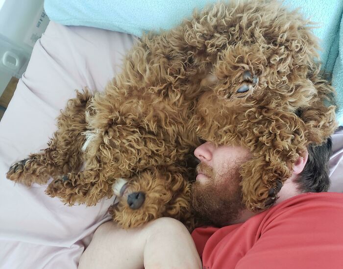 140 Dads Who Said “No Pets” And Ended Up Becoming Total Softies