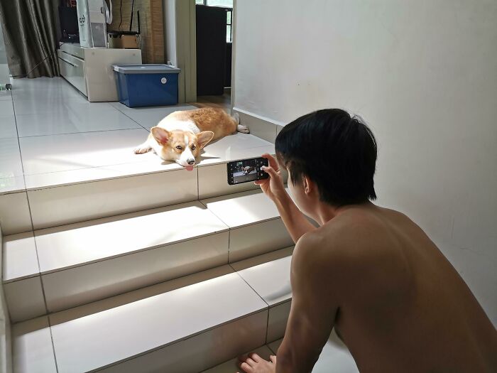 140 Dads Who Said “No Pets” And Ended Up Becoming Total Softies