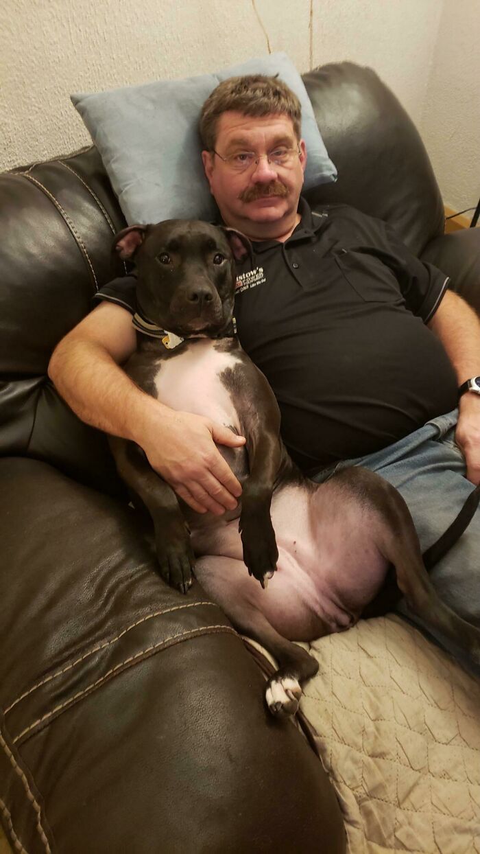 140 Dads Who Said “No Pets” And Ended Up Becoming Total Softies