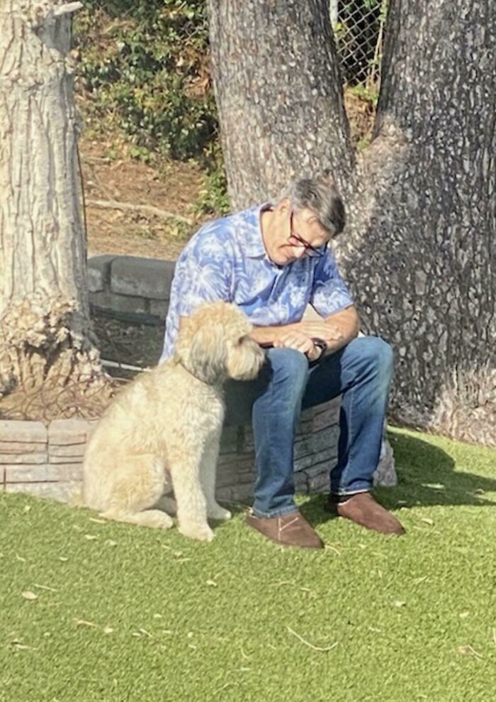 140 Dads Who Said “No Pets” And Ended Up Becoming Total Softies
