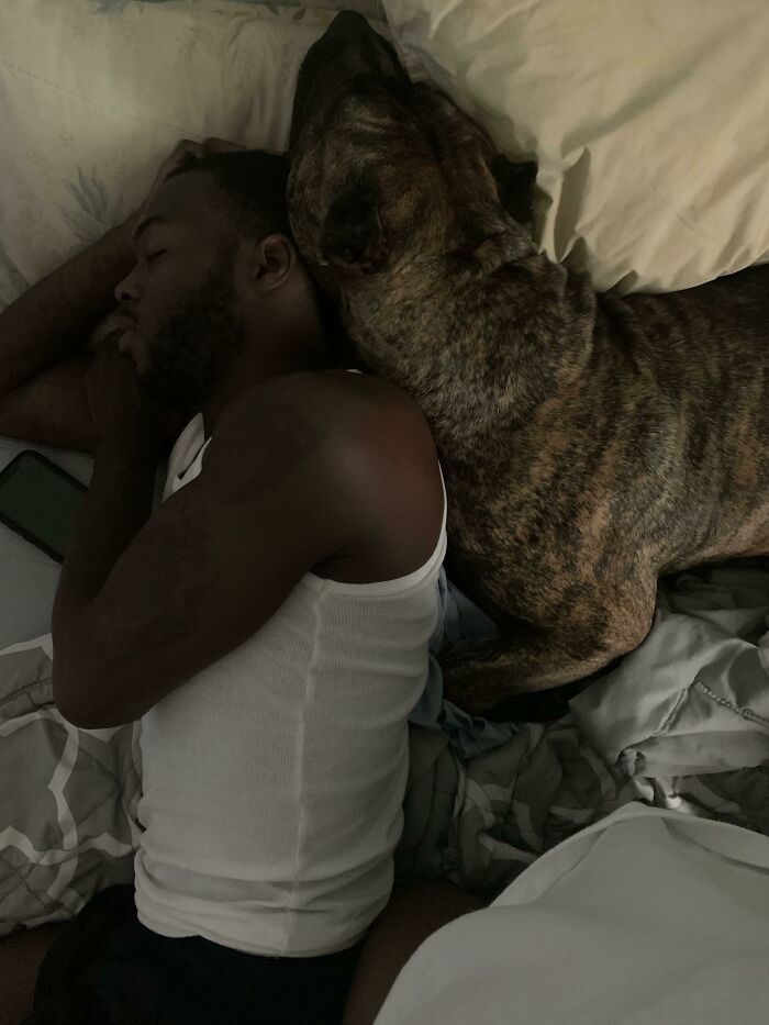 140 Dads Who Said “No Pets” And Ended Up Becoming Total Softies