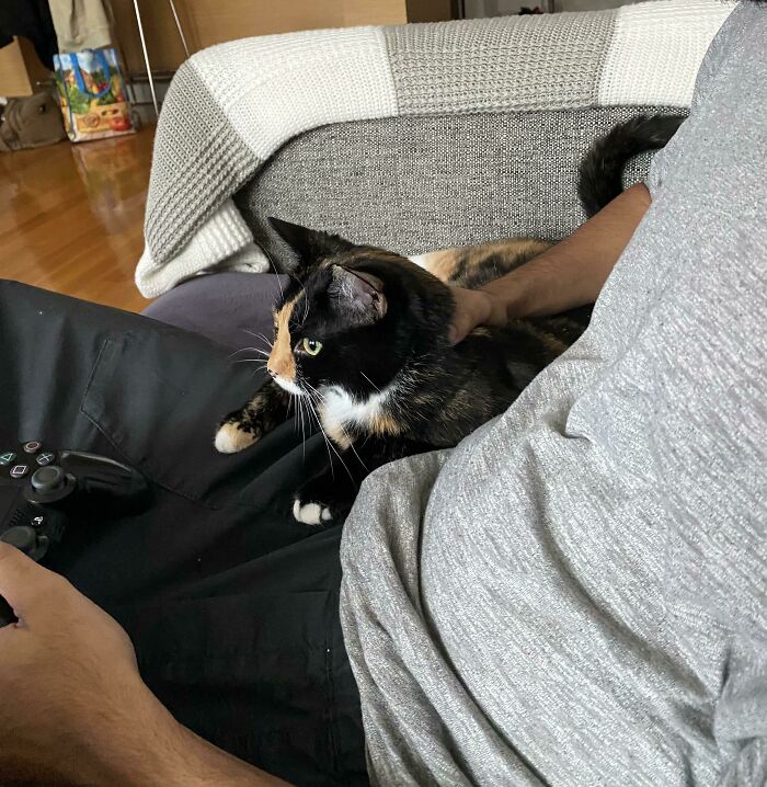 140 Dads Who Said “No Pets” And Ended Up Becoming Total Softies