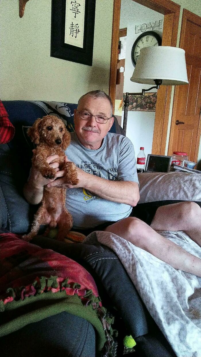 140 Dads Who Said “No Pets” And Ended Up Becoming Total Softies