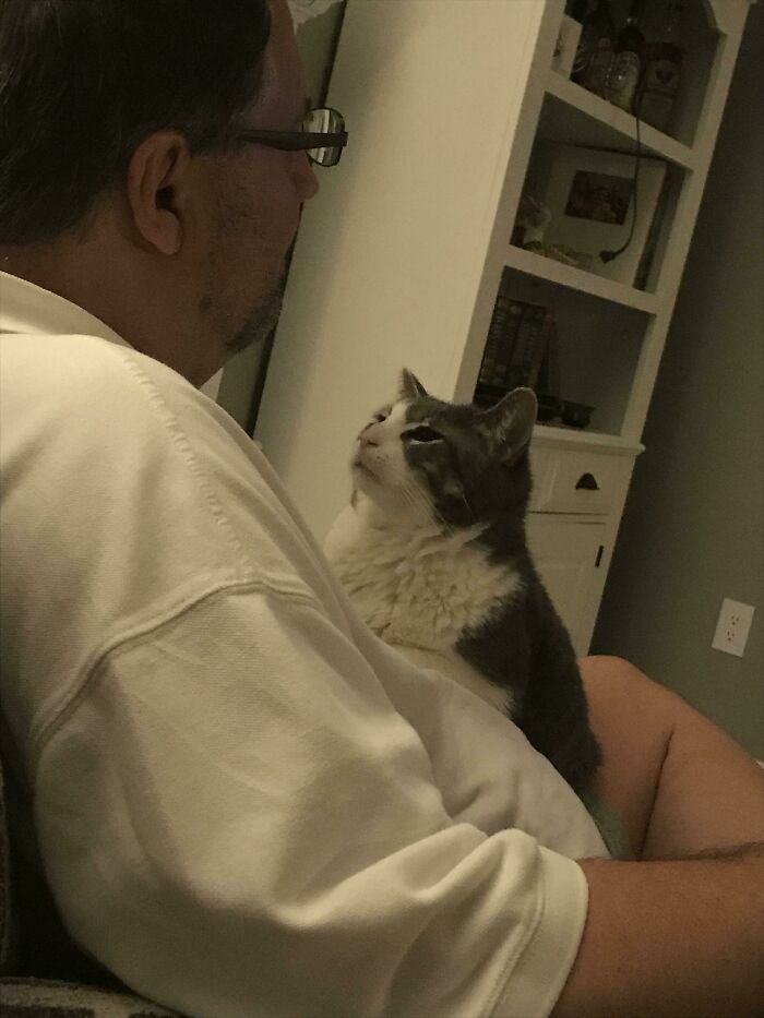 140 Dads Who Said “No Pets” And Ended Up Becoming Total Softies