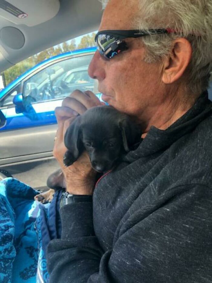 140 Dads Who Said “No Pets” And Ended Up Becoming Total Softies