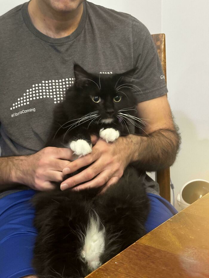 140 Dads Who Said “No Pets” And Ended Up Becoming Total Softies