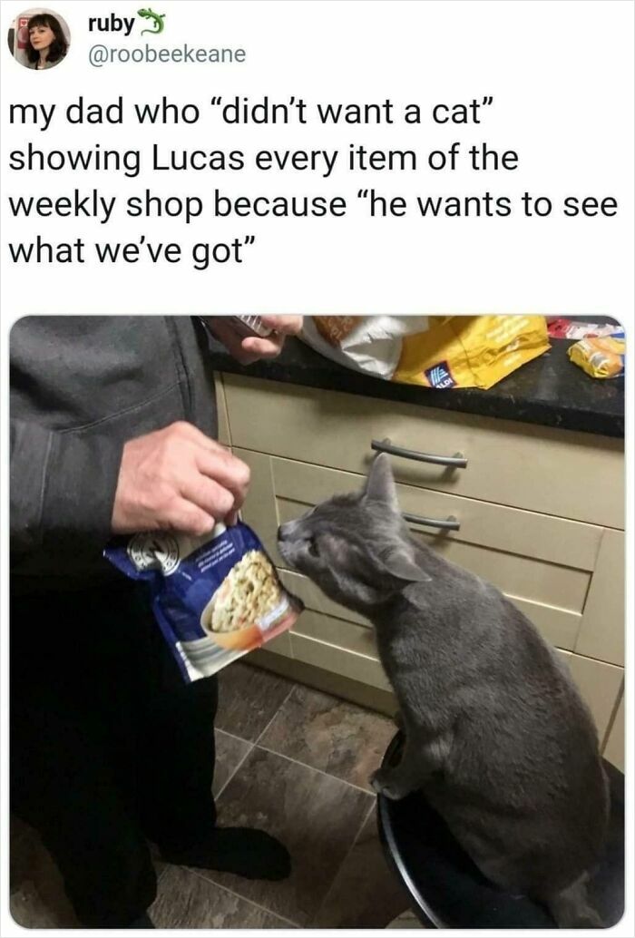 140 Dads Who Said “No Pets” And Ended Up Becoming Total Softies