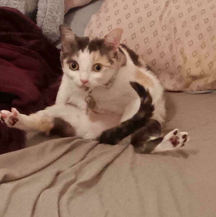 140 Dads Who Said “No Pets” And Ended Up Becoming Total Softies