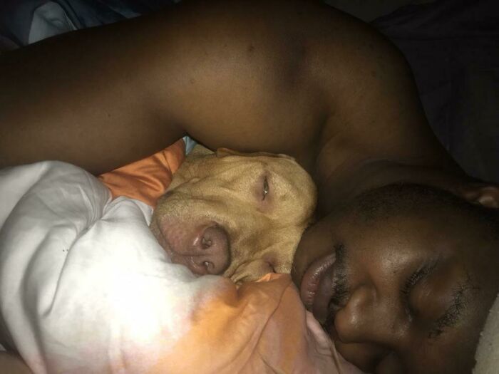 140 Dads Who Said “No Pets” And Ended Up Becoming Total Softies