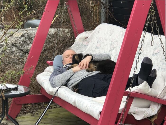140 Dads Who Said “No Pets” And Ended Up Becoming Total Softies