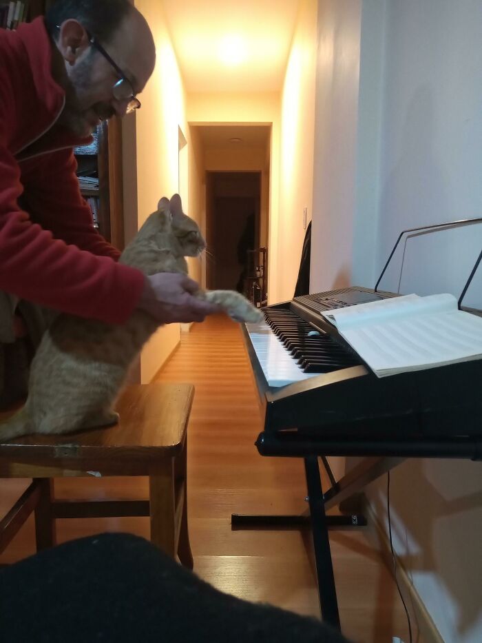 140 Dads Who Said “No Pets” And Ended Up Becoming Total Softies