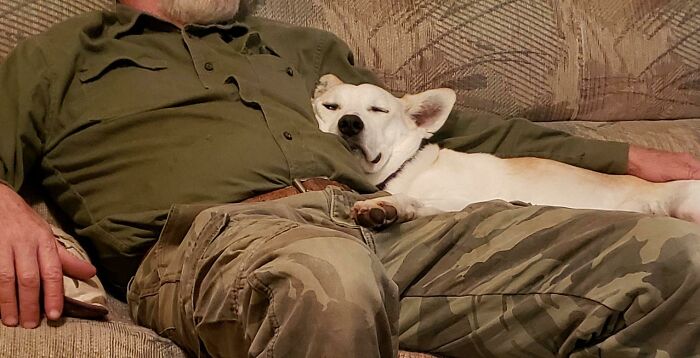 140 Dads Who Said “No Pets” And Ended Up Becoming Total Softies