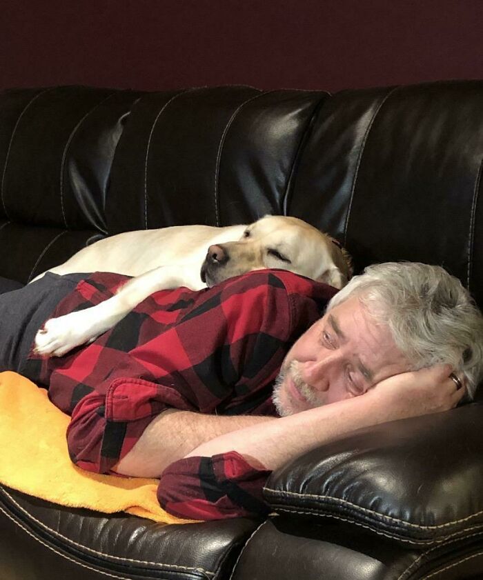 140 Dads Who Said “No Pets” And Ended Up Becoming Total Softies
