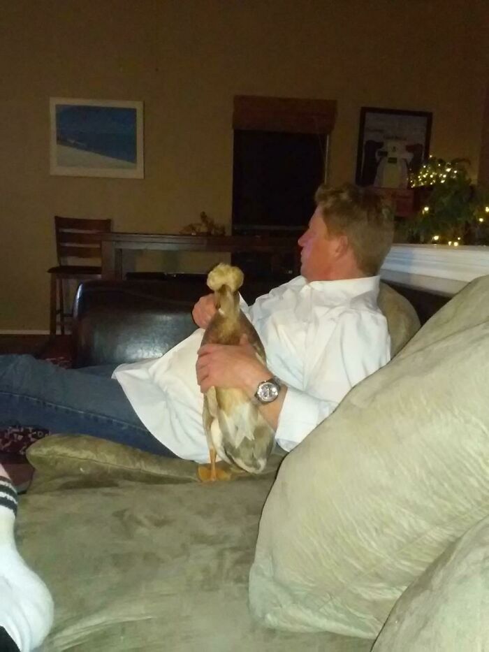 140 Dads Who Said “No Pets” And Ended Up Becoming Total Softies
