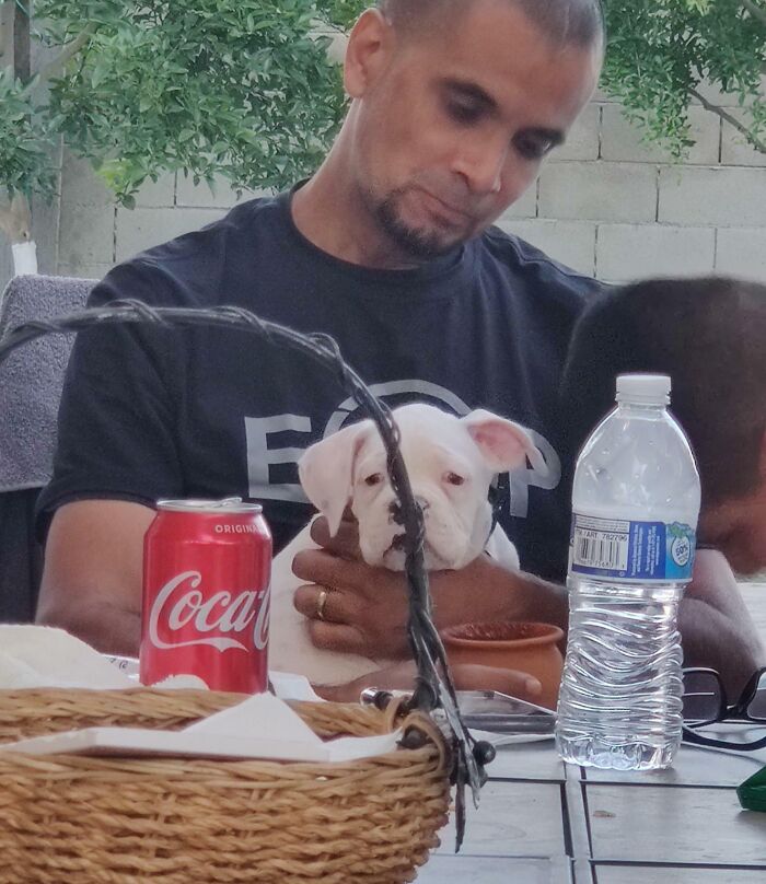 140 Dads Who Said “No Pets” And Ended Up Becoming Total Softies