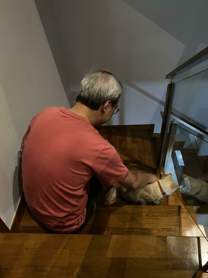 140 Dads Who Said “No Pets” And Ended Up Becoming Total Softies