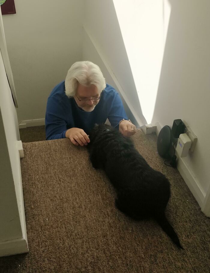 140 Dads Who Said “No Pets” And Ended Up Becoming Total Softies
