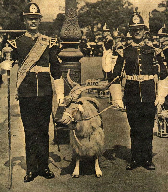 72 Posts From “History Anecdotes” That Might Teach You Something New About The Past
