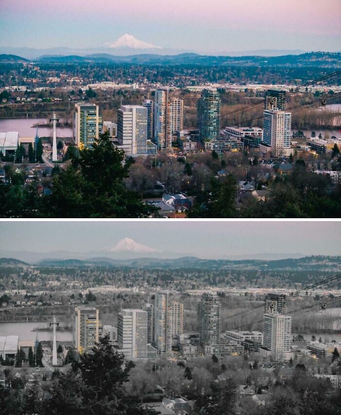 53 Posts From A Group Dedicated To Making Fun Of The “Urban Hell” Echo Chamber