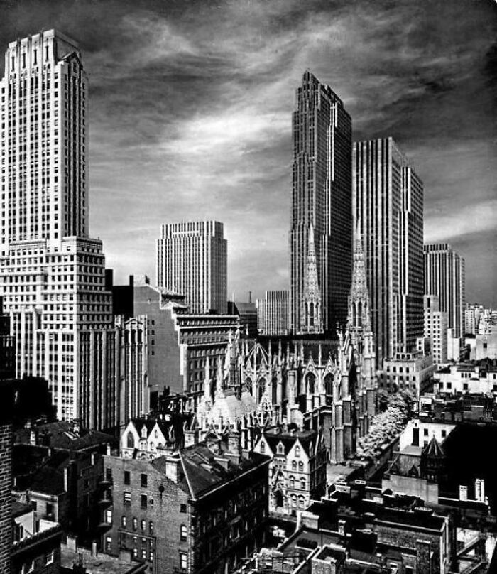 53 Posts From A Group Dedicated To Making Fun Of The “Urban Hell” Echo Chamber
