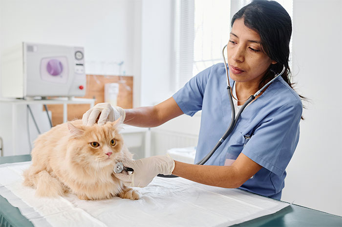 &#8220;You Put It Up There&#8221;: 88 Times Patients Tried To Fool Doctors With Ridiculous Lies