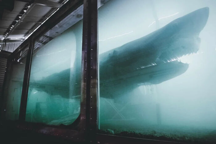 89 Terrifying Photos And Stories That Are As Fascinating As They Are Scary