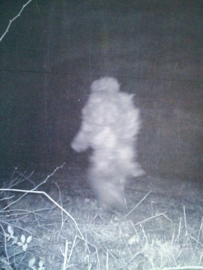 89 Terrifying Photos And Stories That Are As Fascinating As They Are Scary