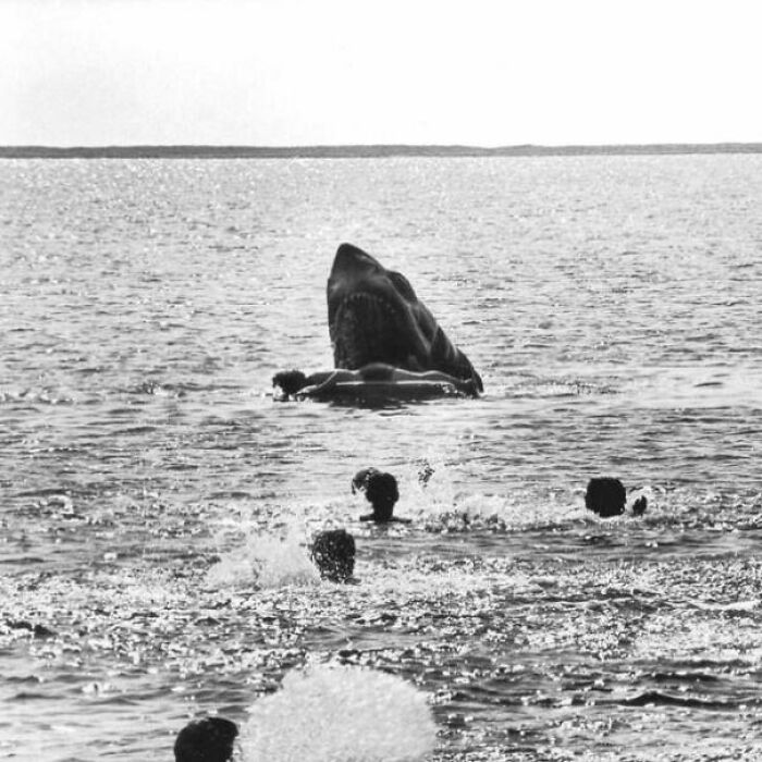 89 Terrifying Photos And Stories That Are As Fascinating As They Are Scary