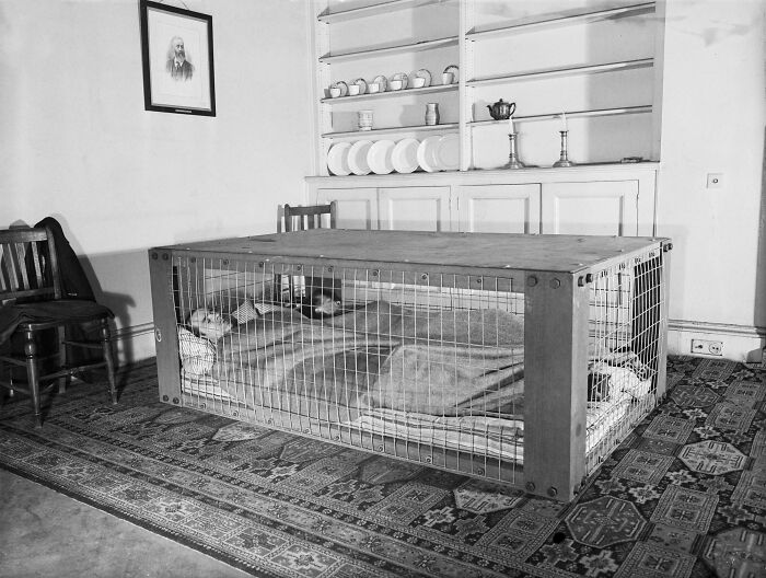 89 Terrifying Photos And Stories That Are As Fascinating As They Are Scary