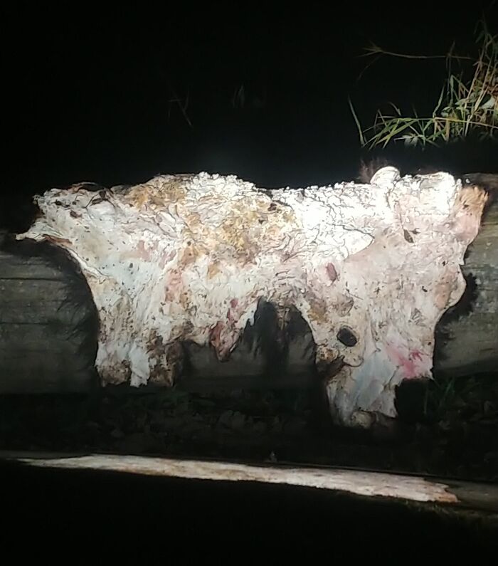 89 Terrifying Photos And Stories That Are As Fascinating As They Are Scary