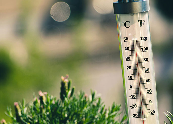 73 Interesting Scientific Facts That Are Also A Bit Eerie