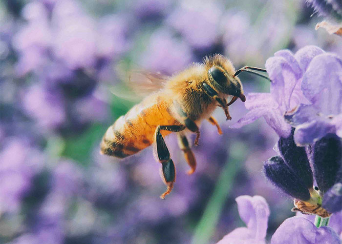 73 Interesting Scientific Facts That Are Also A Bit Eerie