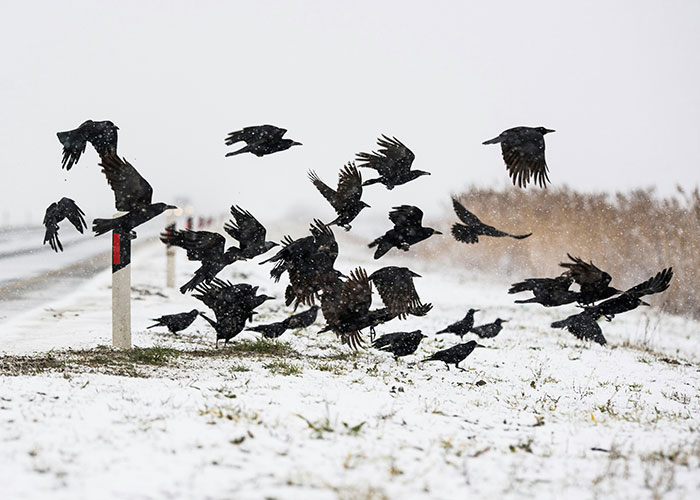 73 Interesting Scientific Facts That Are Also A Bit Eerie