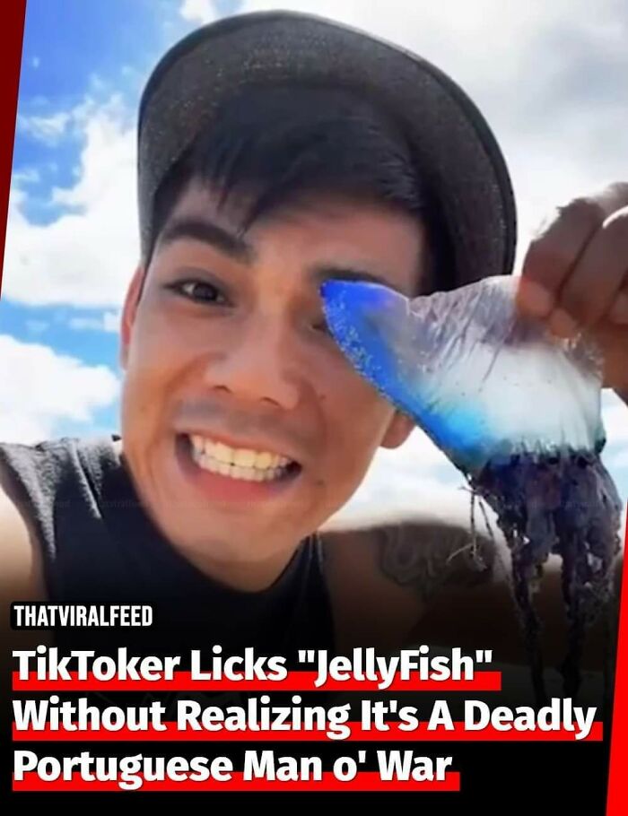 “Anything Is Edible Once”: 92 People Who Came Close To Death And Didn’t Even Realize It