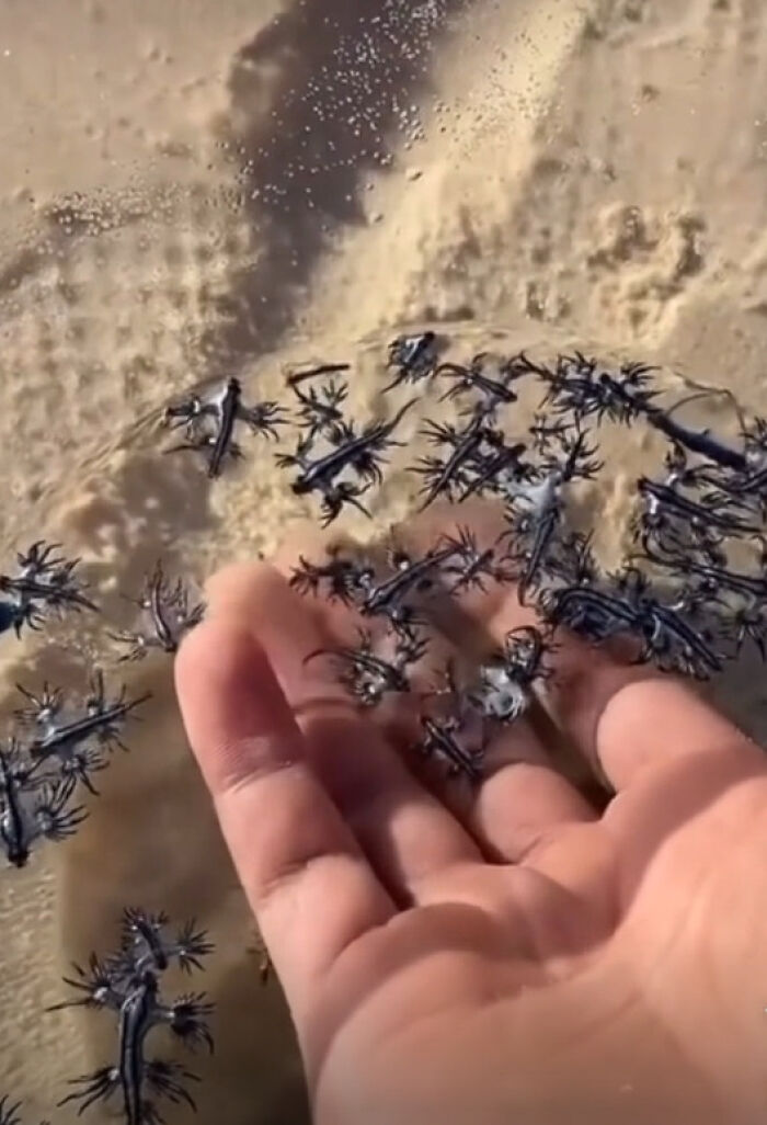 “Anything Is Edible Once”: 92 People Who Came Close To Death And Didn’t Even Realize It